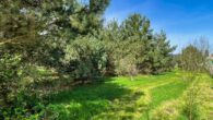 Gartenland - Zweifamilienhaus mit Schwimmbad, 3 Garagen und großem Grundstück – ideal für Pferdeliebhaber!