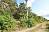 Grundstück - 21.429 m² Bauerwartungsland in Grußendorf nahe Gifhorn! Mein Grundstück = Mein Makler!