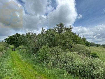 Provisionsfreies Waldgrundstück mit 28000m² bei Rühen! Mein Grundstück – Mein Partner!, 38471 Rühen, Grundstück (Anlageobjekt)